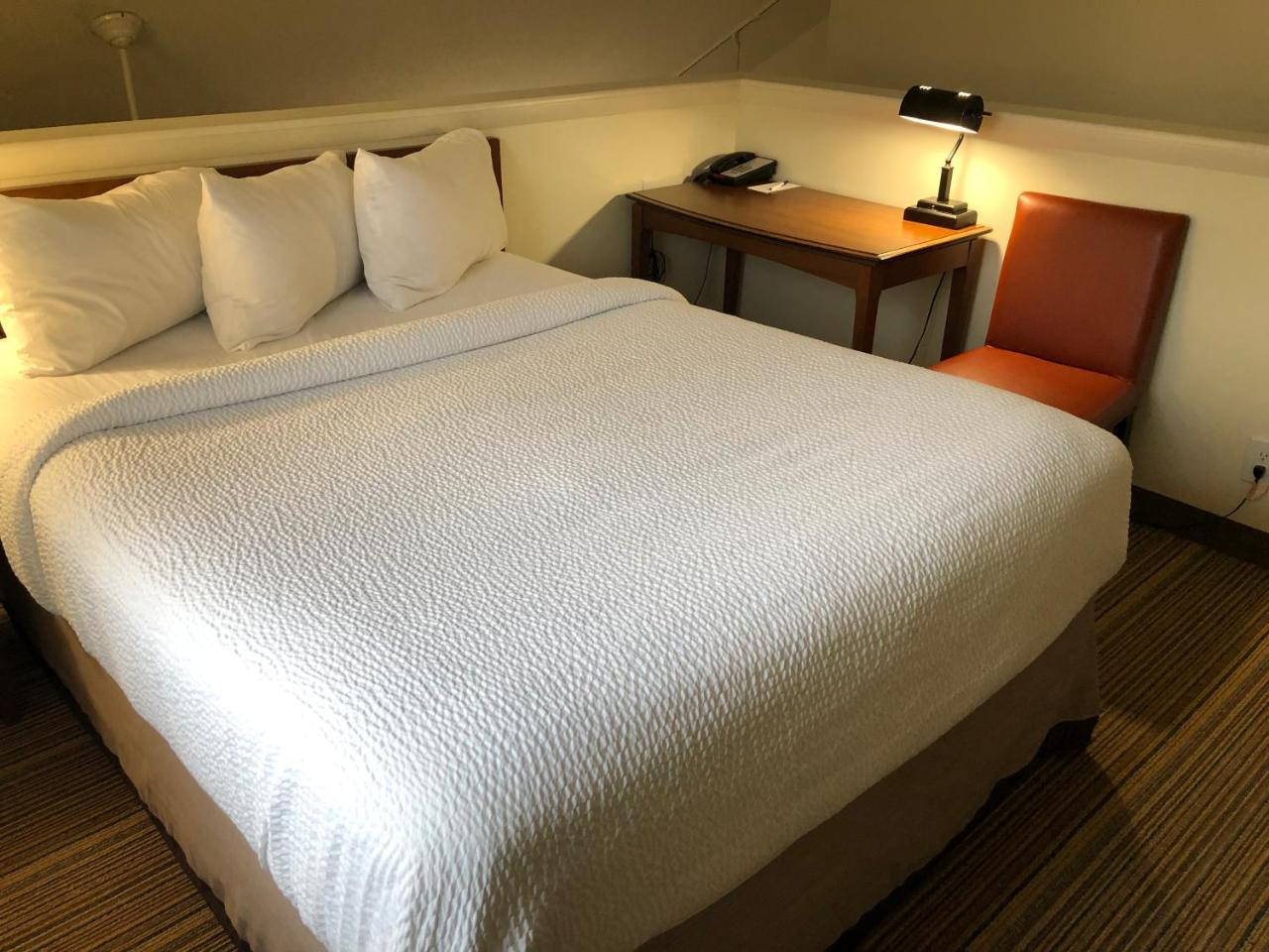 Albany Airport Inn And Suites 라담 외부 사진